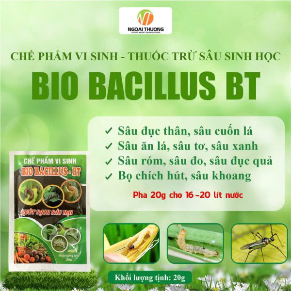 Trừ Sâu Sinh Học Bacillus – Chế Phẩm Mạnh Mẽ Cho Cây