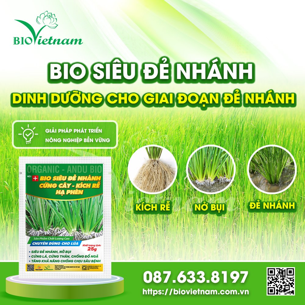 Bio Siêu Đẻ Nhánh - Dinh Dưỡng Cho Giai Đoạn Đẻ Nhánh