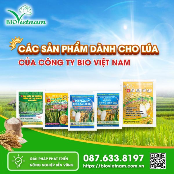 Đính Chính: Các Sản Phẩm Dành Cho Lúa Dạng Gói Của Công Ty Bio Việt Nam